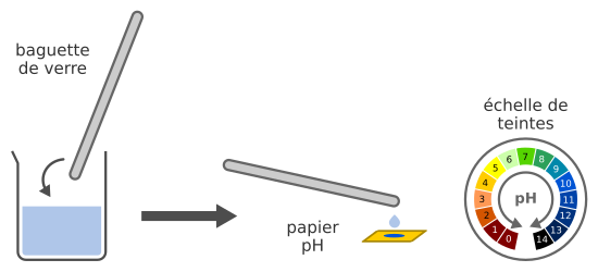 Mesure de pH avec un papier pH